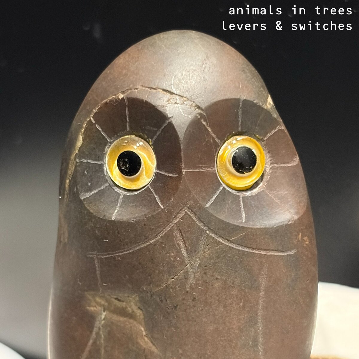 www.animalsintrees.com